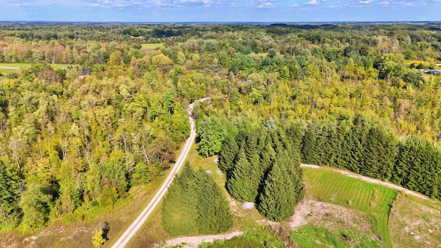 491 Bitter Creek Ln, Pierson, MI 49339 - aerial view of a heavily wooded area