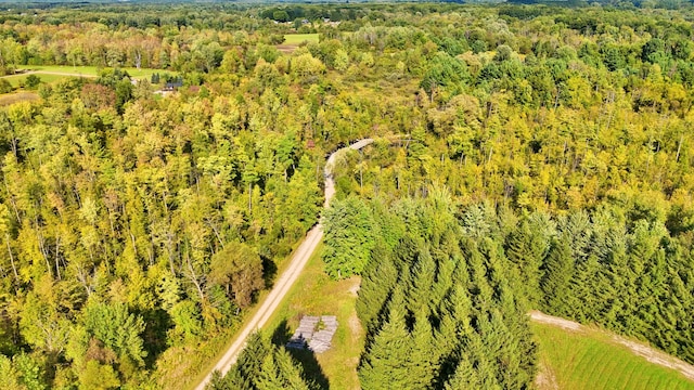 491 Bitter Creek Ln, Pierson, MI 49339 - aerial view of a forest