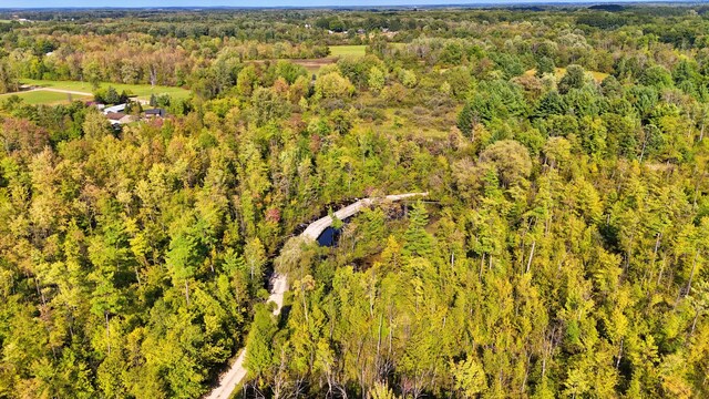 491 Bitter Creek Ln, Pierson, MI 49339 - drone / aerial view of a forest