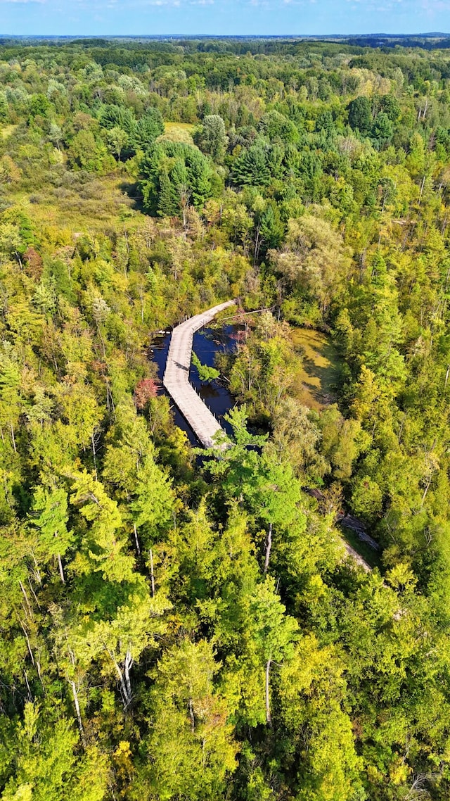 491 Bitter Creek Ln, Pierson, MI 49339 - aerial view of a heavily wooded area