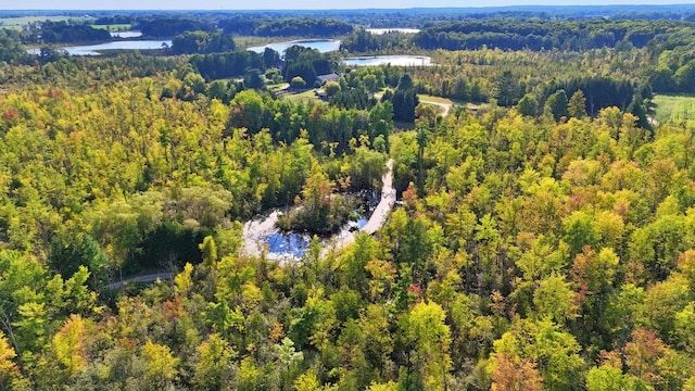 491 Bitter Creek Ln, Pierson, MI 49339 - aerial view of a forest and a nearby body of water