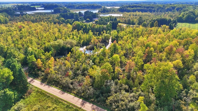 491 Bitter Creek Ln, Pierson, MI 49339 - bird's eye view of a forest