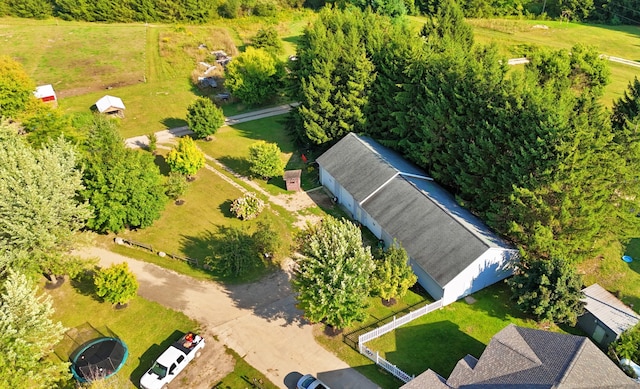 491 Bitter Creek Ln, Pierson, MI 49339 - aerial view