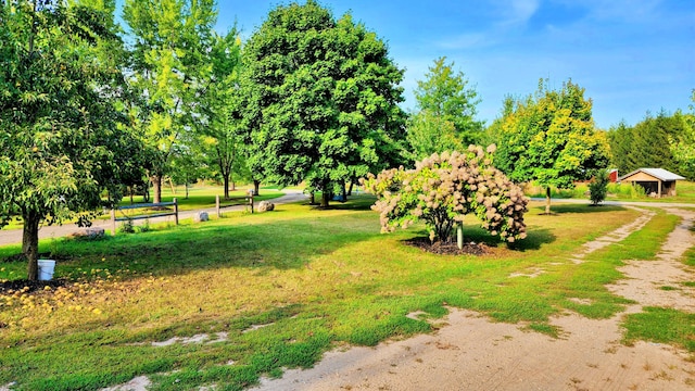 491 Bitter Creek Ln, Pierson, MI 49339 - surrounding community with a yard