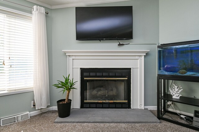 details with carpet and crown molding