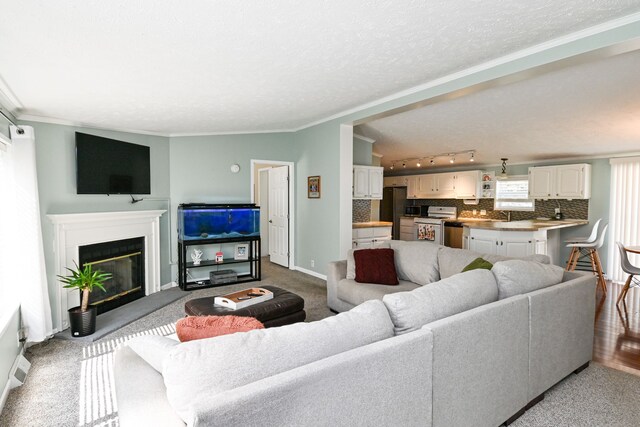 living room with light colored carpet, ornamental molding, and a textured ceiling