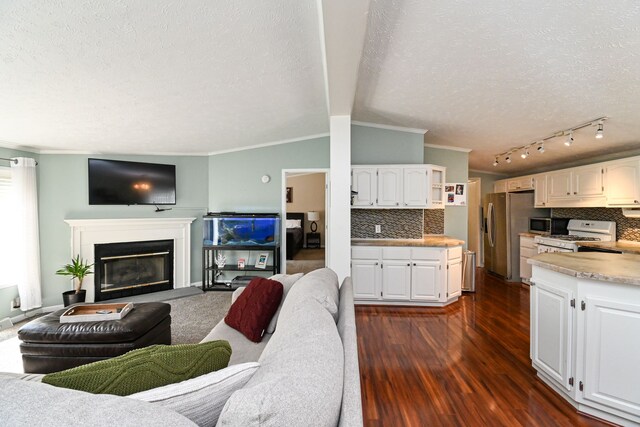 living room with vaulted ceiling, a textured ceiling, dark hardwood / wood-style floors, and ornamental molding