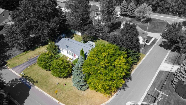 bird's eye view