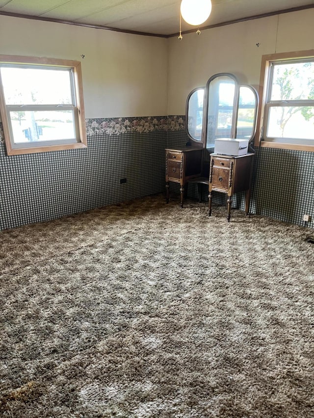 interior space featuring carpet, a healthy amount of sunlight, and ornamental molding