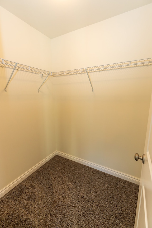 spacious closet with dark colored carpet