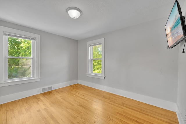 empty room with light hardwood / wood-style floors and a wealth of natural light