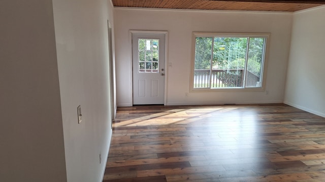 interior space with dark wood-type flooring and wooden ceiling