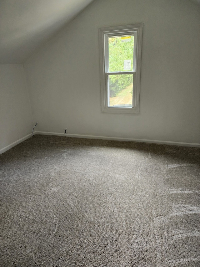 additional living space with carpet floors and lofted ceiling