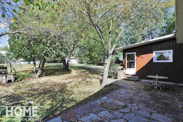 view of yard featuring entry steps and a patio area