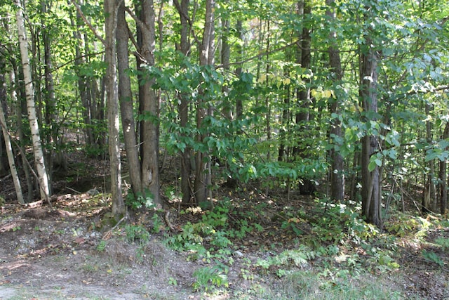 Sunburry Rd, Kalkaska MI, 49646 land for sale