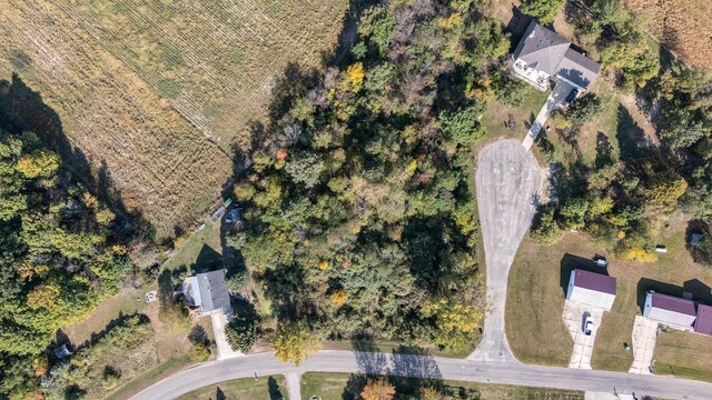 TBD Lakeside Dr, Perrinton, MI 48871 - photo 12