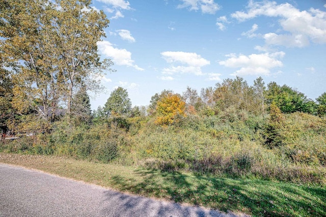 TBD Lakeside Dr, Perrinton, MI 48871 - photo 2