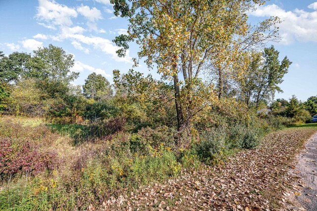 TBD Lakeside Dr, Perrinton, MI 48871 - photo 4