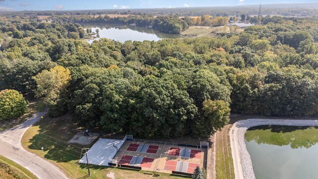 TBD Ash Court, Perrinton, MI 48871