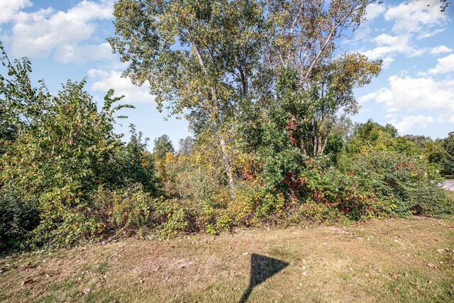 TBD Ash Court, Perrinton, MI 48871