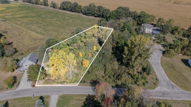 TBD Ash Court, Perrinton, MI 48871