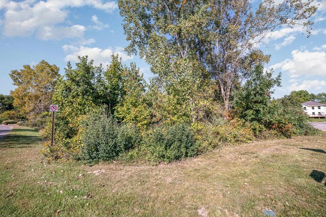 TBD Ash Court, Perrinton, MI 48871