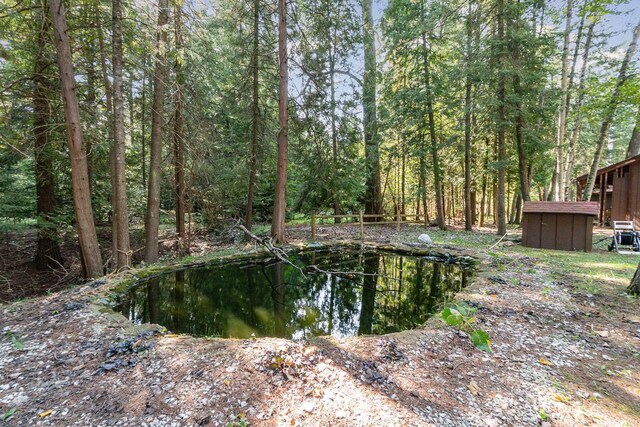 4281 Franklin Trl, Sterling, MI 48659 - view of yard with a forest view