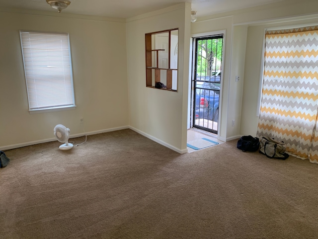 spare room featuring carpet and ornamental molding