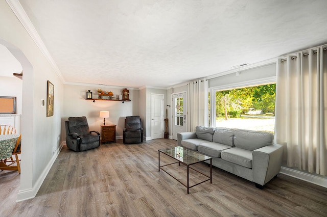 living room featuring light hardwood / wood-style flooring and ornamental molding