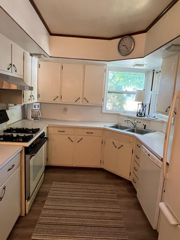 kitchen with crown molding, sink, dark wood-type flooring, and white appliances