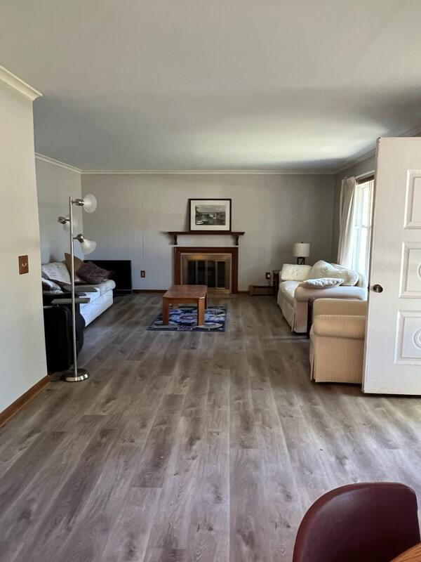 living room with ornamental molding and hardwood / wood-style flooring