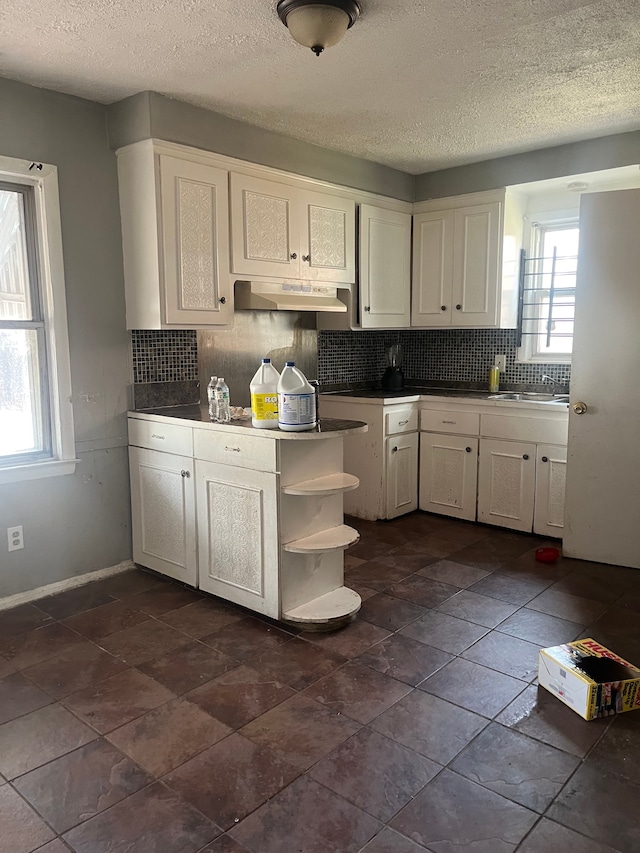 kitchen with white cabinets, under cabinet range hood, and a sink