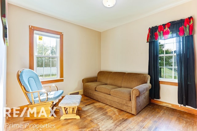 living room featuring wood-type flooring