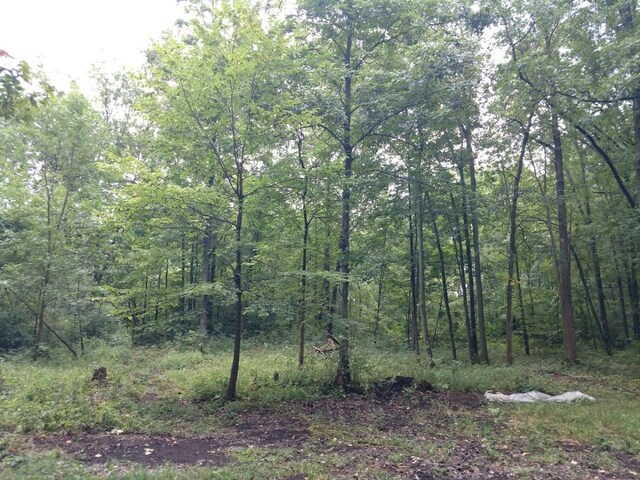 03 Joann Dr, Newport, MI 48166