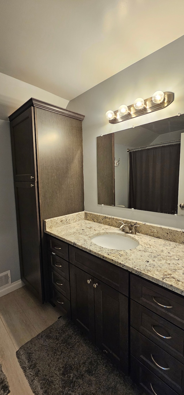 bathroom featuring hardwood / wood-style floors and vanity