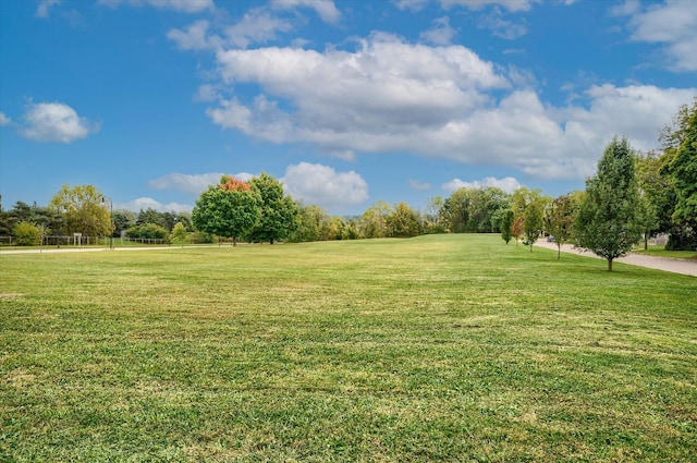 view of yard featuring a rural view