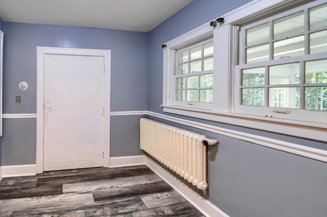 entryway featuring dark hardwood / wood-style floors and radiator