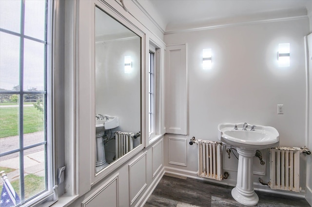 bathroom with hardwood / wood-style flooring, crown molding, and radiator