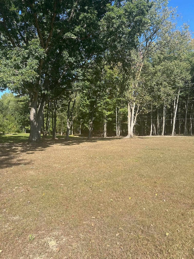 1821 S Chippewa Rd, Mount Pleasant MI, 48858 land for sale