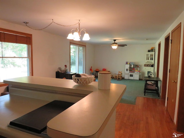 dining space with hardwood / wood-style floors and ceiling fan with notable chandelier