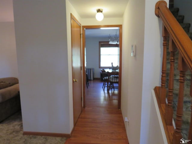 corridor featuring hardwood / wood-style flooring