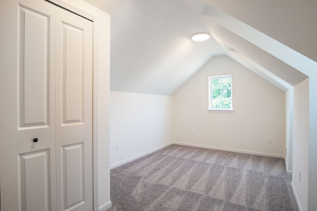 additional living space with carpet floors and lofted ceiling