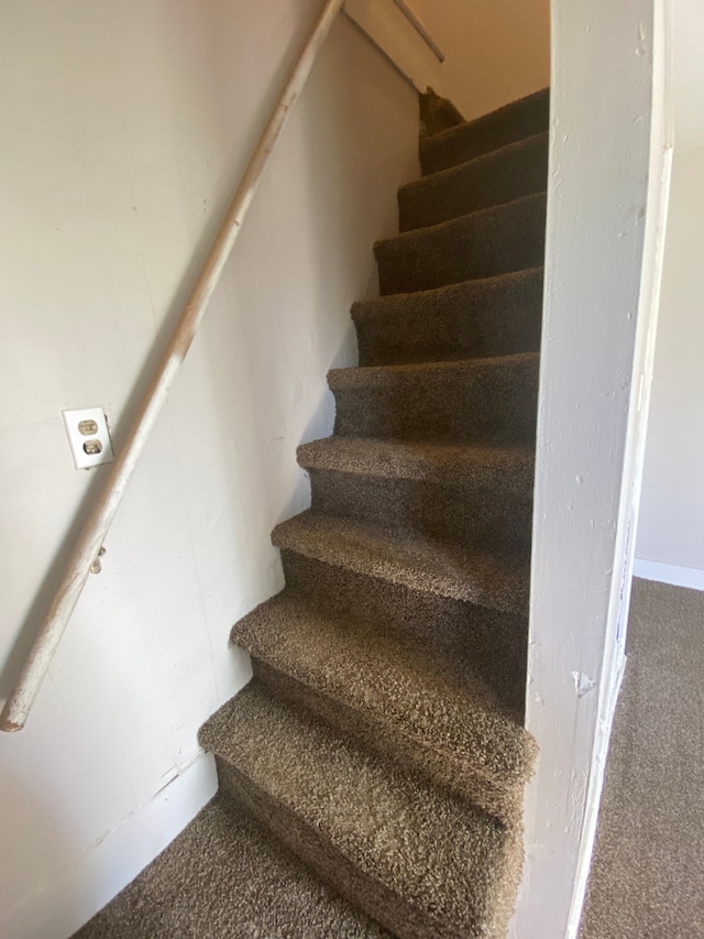 staircase featuring carpet flooring