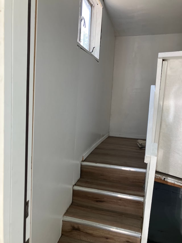 stairway with wood-type flooring