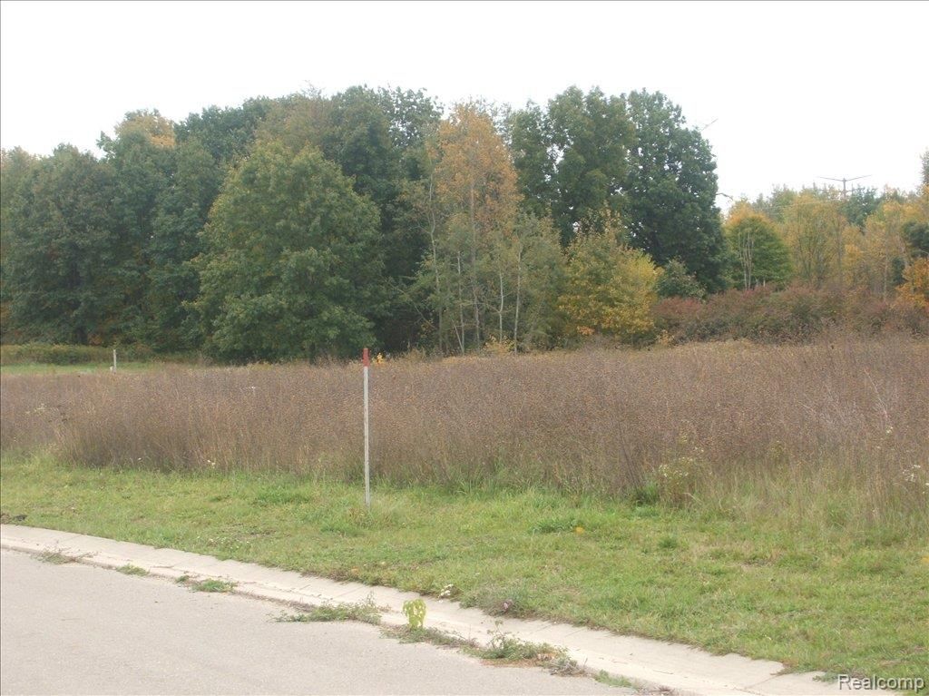 6358 Birch Meadows Ln, Fowlerville, MI 48836