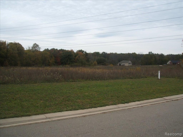 Listing photo 3 for 6358 Birch Meadows Ln, Fowlerville MI 48836