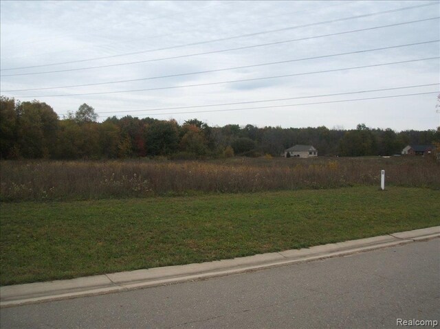 6358 Birch Meadows Ln, Fowlerville, MI 48836