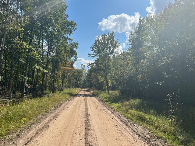 9996 N Chippewa Rd, Coleman, MI 48618 - view of dirt / gravel road featuring a forest view