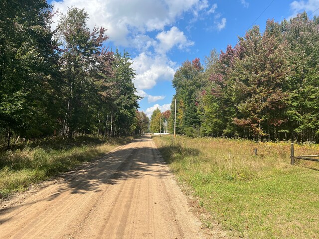 9996 N Chippewa Rd, Coleman, MI 48618 - view of dirt / gravel road with a view of trees