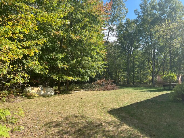 9996 N Chippewa Rd, Coleman, MI 48618 - view of grassy yard